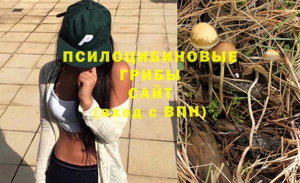 стаф Абаза