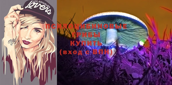 твердый Абинск