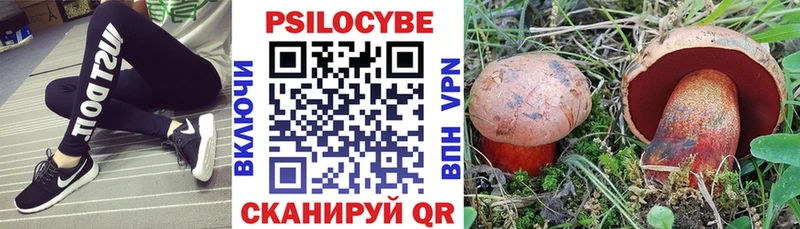 Псилоцибиновые грибы прущие грибы  наркошоп  мега ТОР  Усолье-Сибирское 