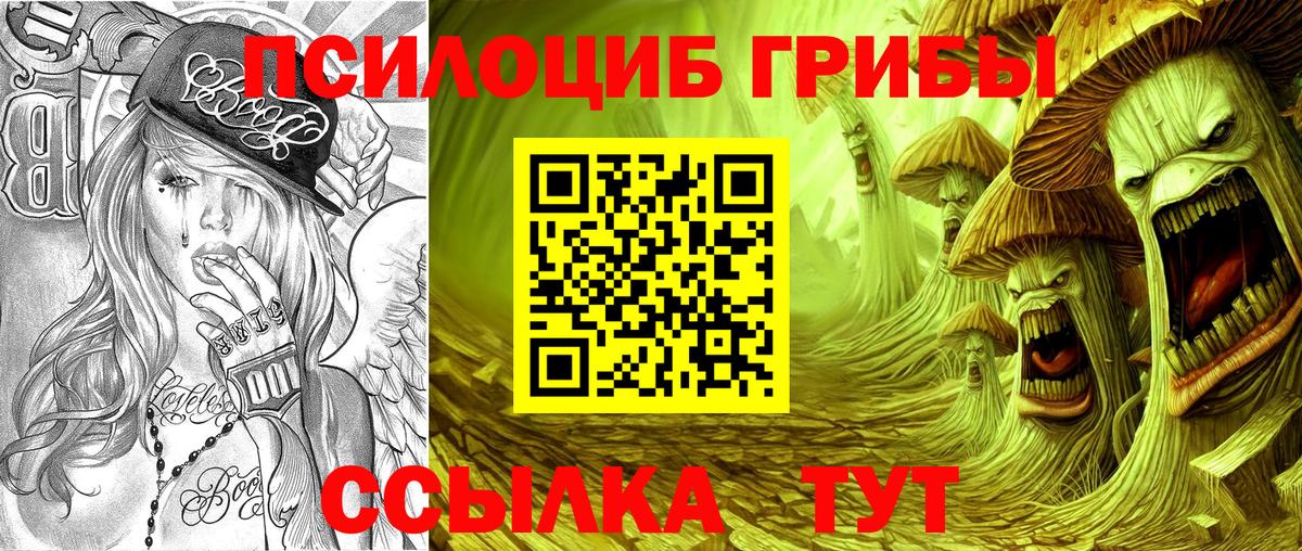купить закладку  Галлюциногенные грибы мицелий  Вход с VPN  Усолье-Сибирское 